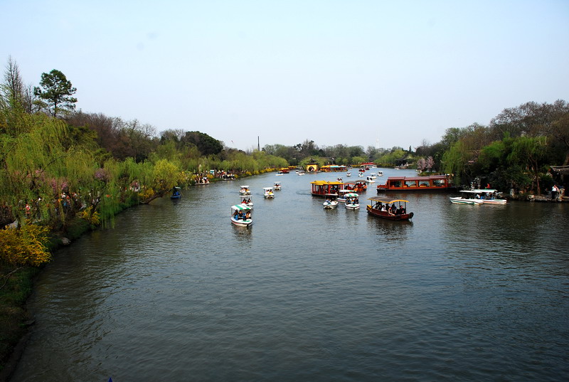 dsc_0333.jpg