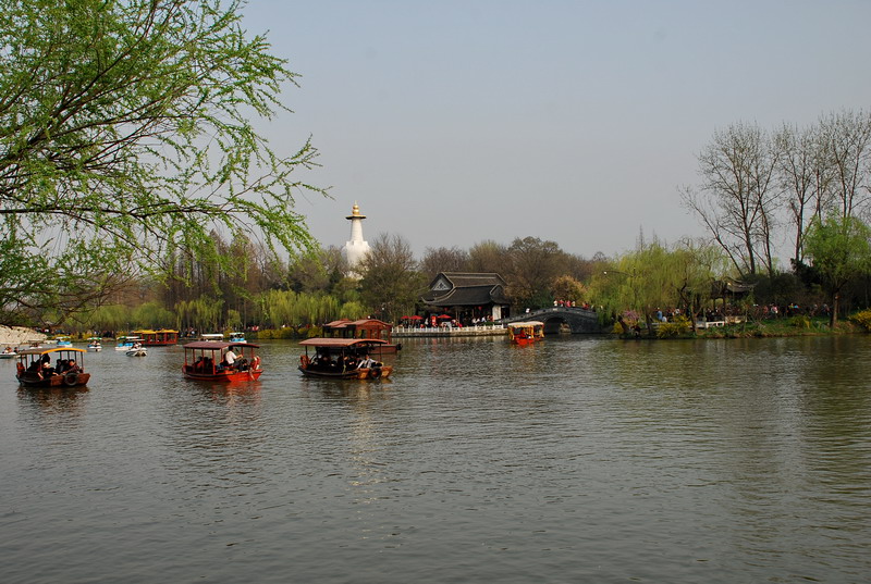 dsc_0310.jpg