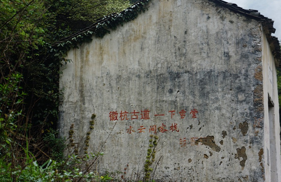 ϴ (44).jpg