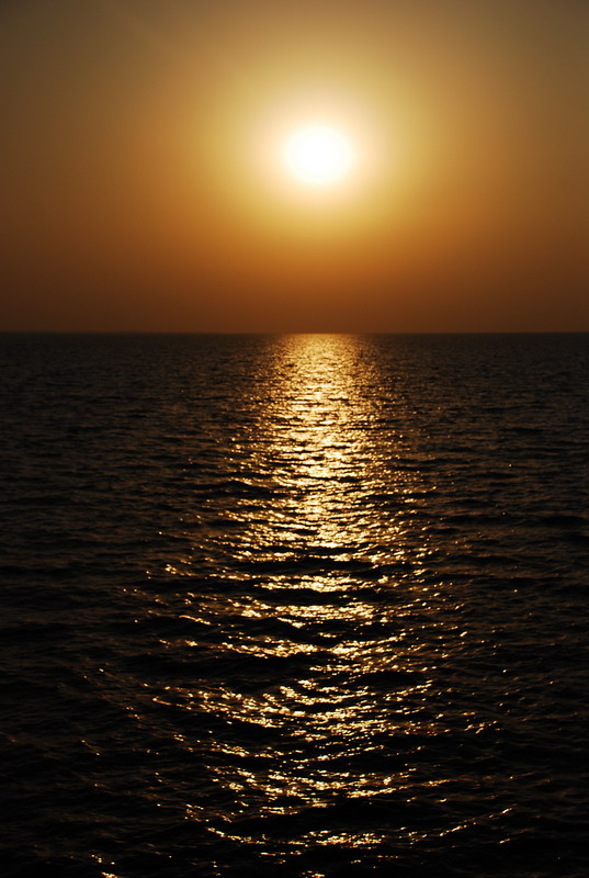 dsc_0663.jpg