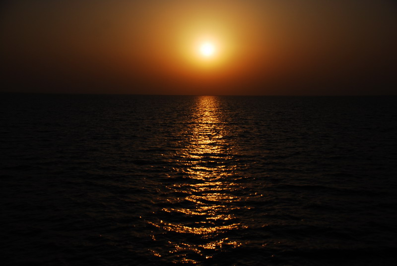 dsc_0689.jpg