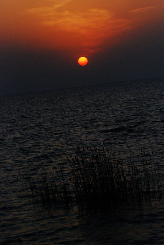 dsc_0726.jpg