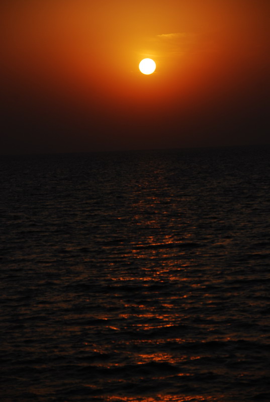 dsc_0714.jpg