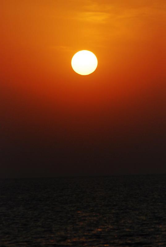 dsc_0719.jpg