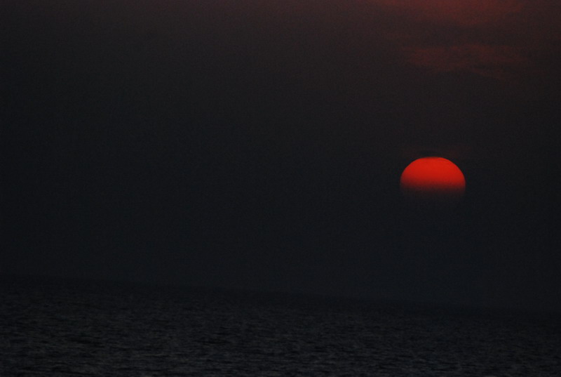 dsc_0737.jpg