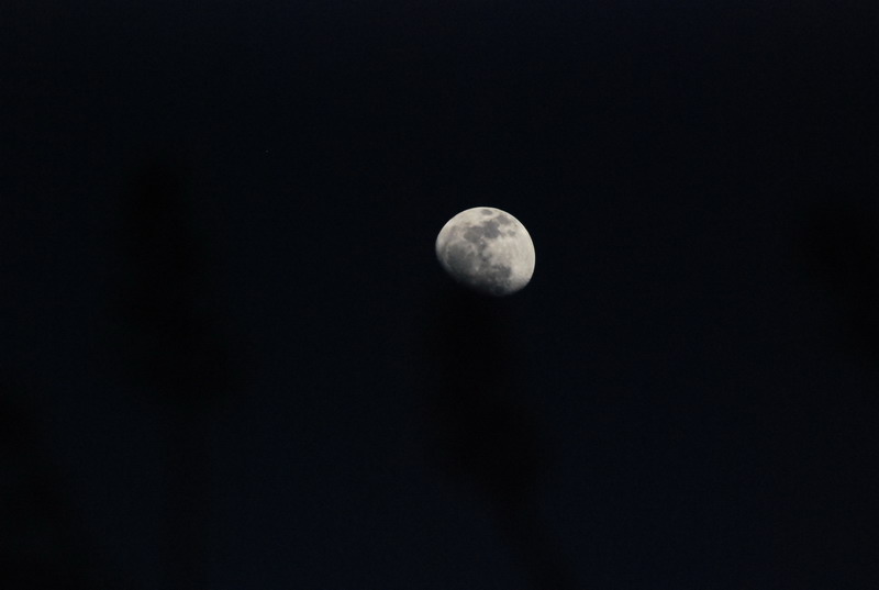 dsc_0749.jpg