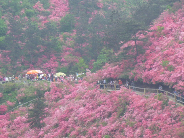 p1060493.jpg