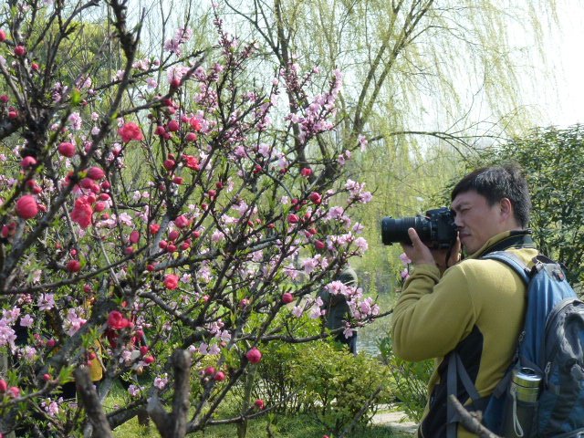 p1040599.jpg