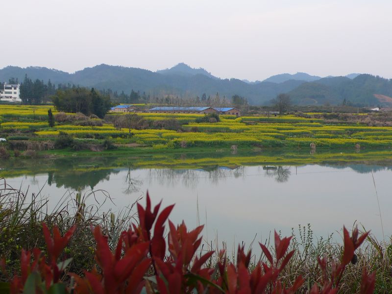 p1070089.jpg