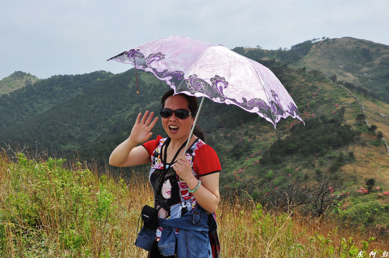 dsc_0837.jpg
