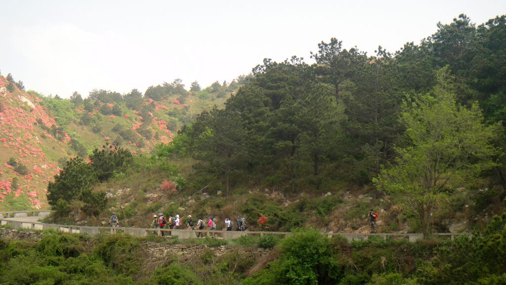 dsc00574.jpg