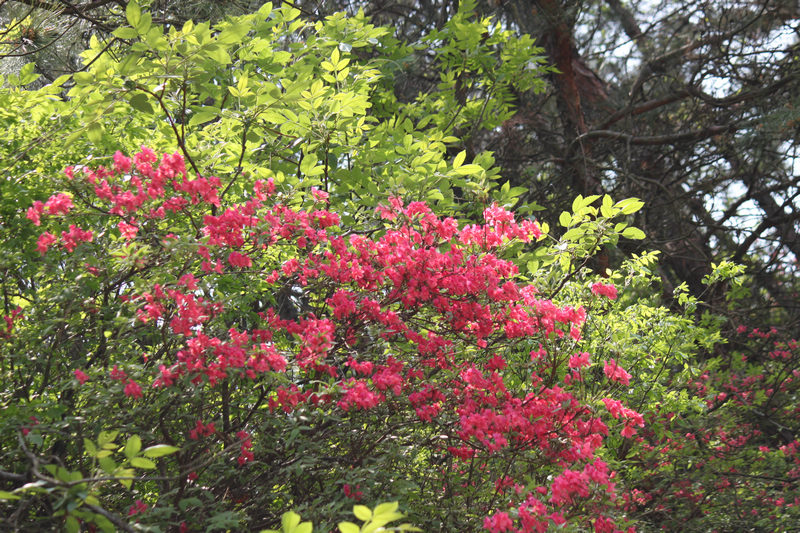 Ƭ 024.jpg