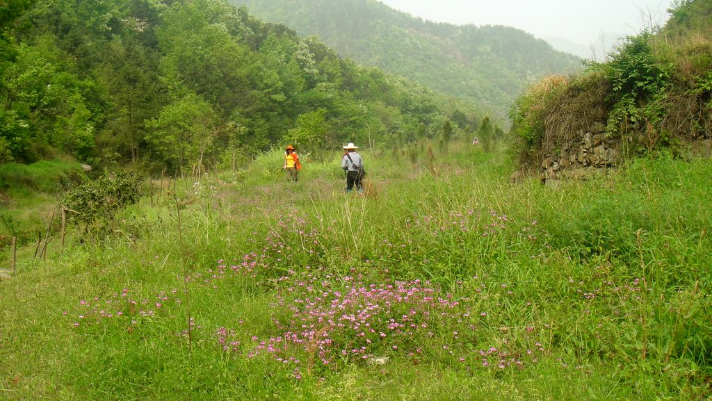 dsc00604.jpg