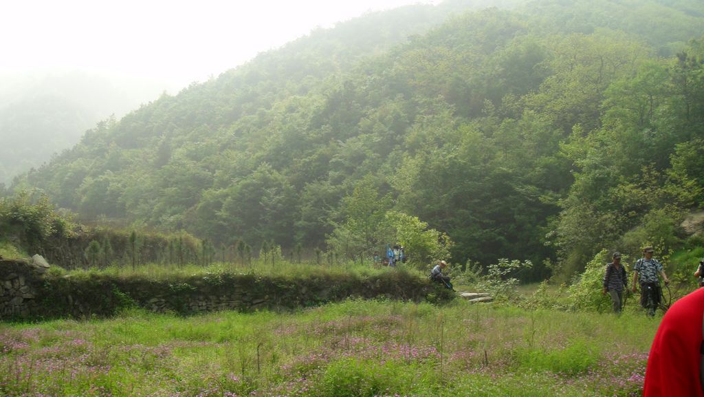dsc00606.jpg