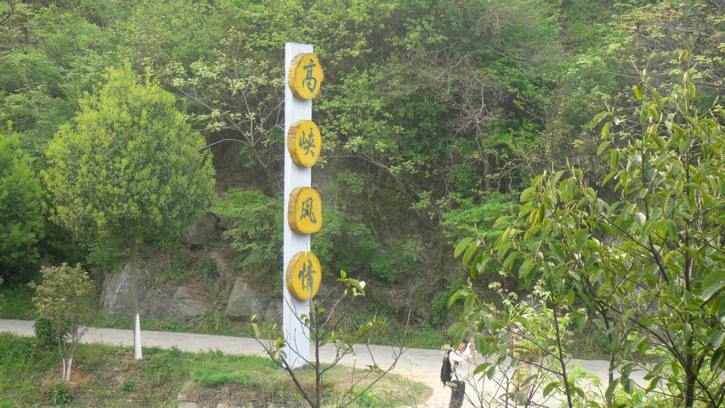 dsc00609.jpg