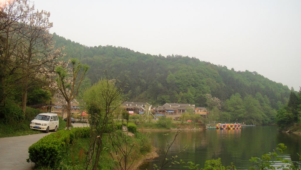 dsc00611.jpg