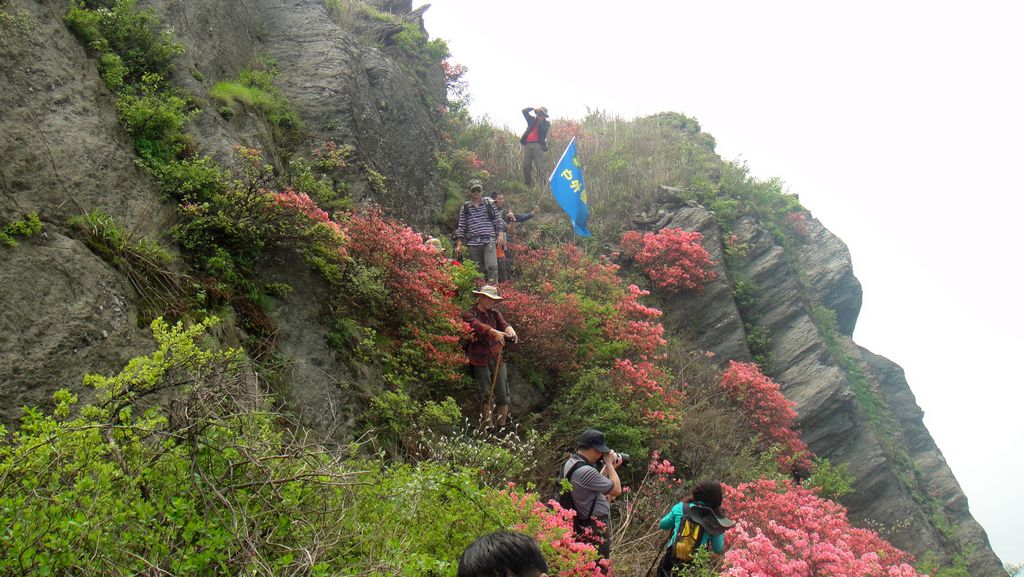 dsc00588.jpg