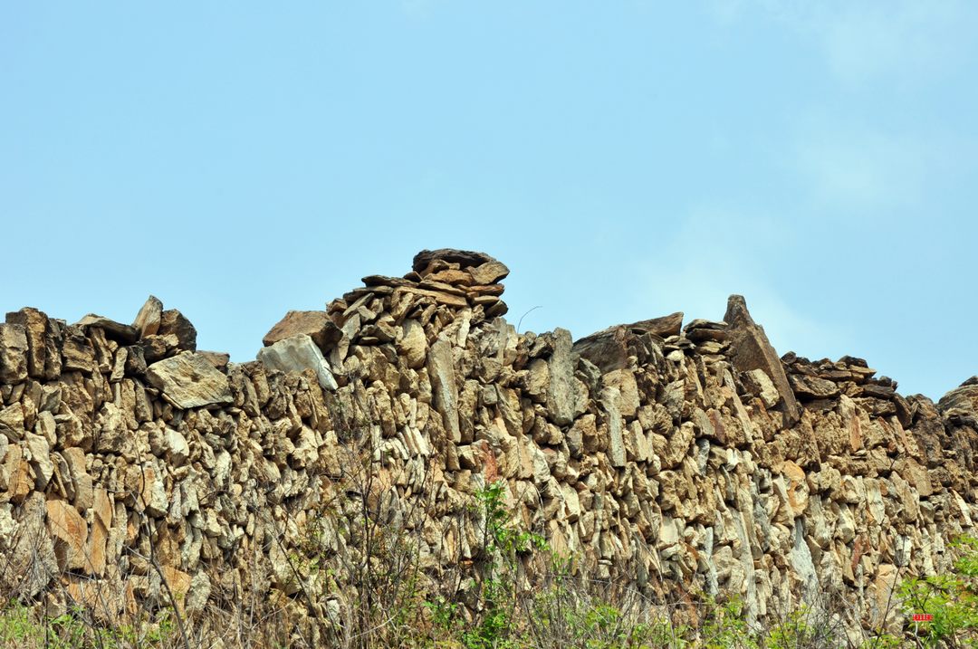 dsc_0666.jpg