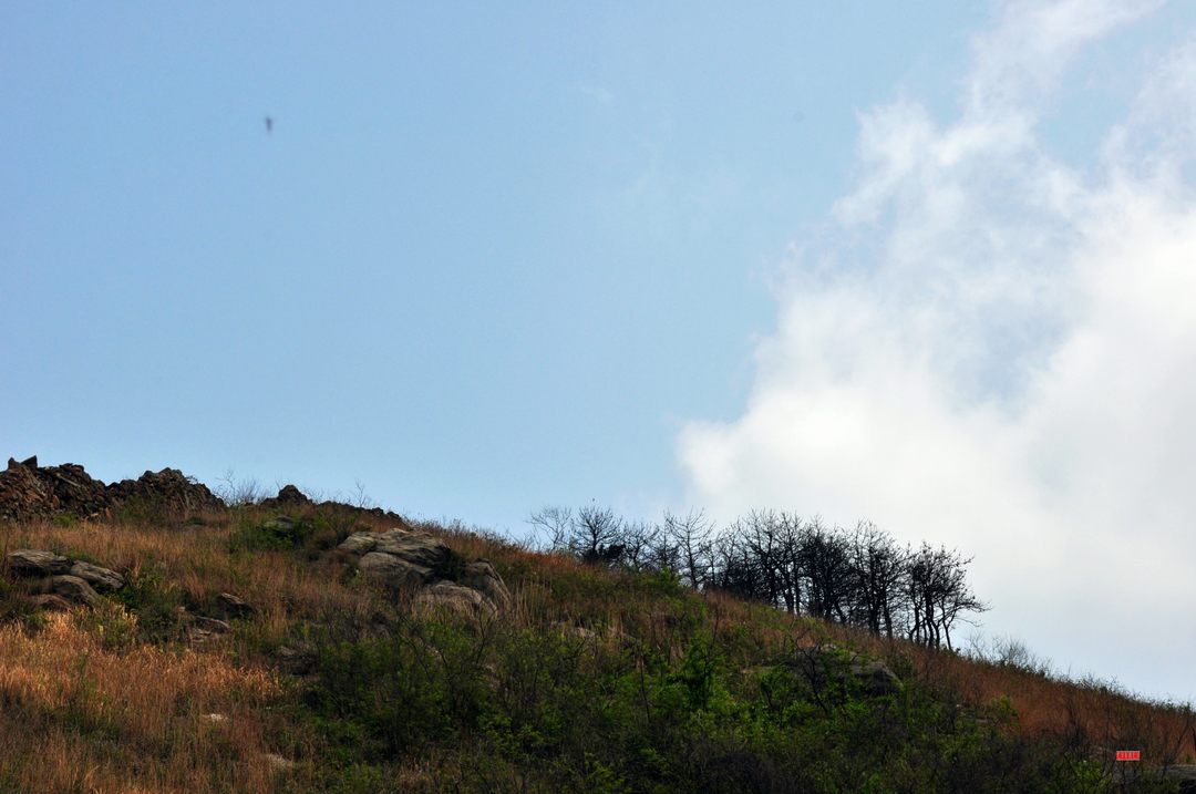 dsc_0672.jpg