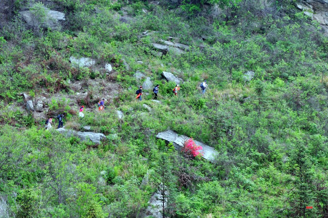 dsc_0677.jpg