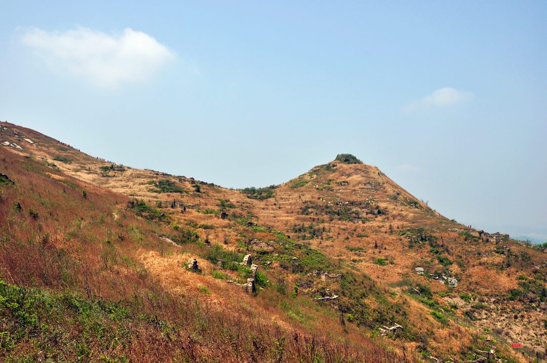 dsc_0793.jpg