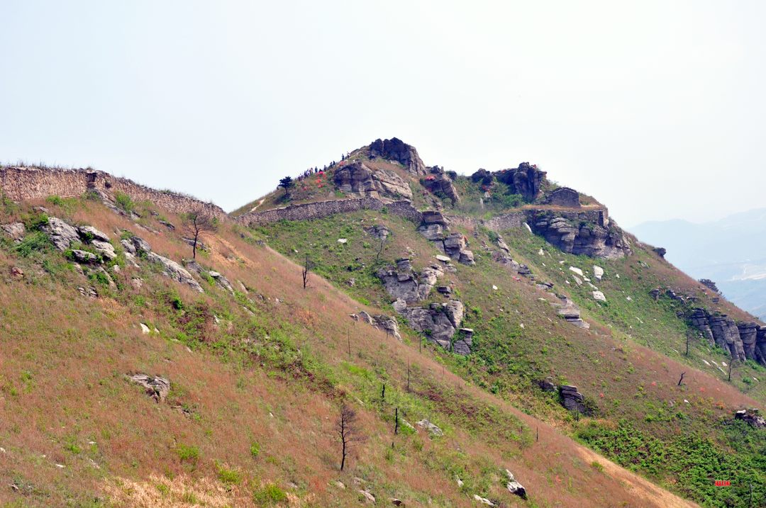 dsc_0800.jpg