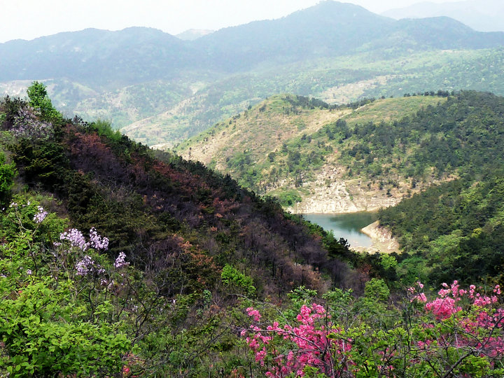 p1000833.jpg