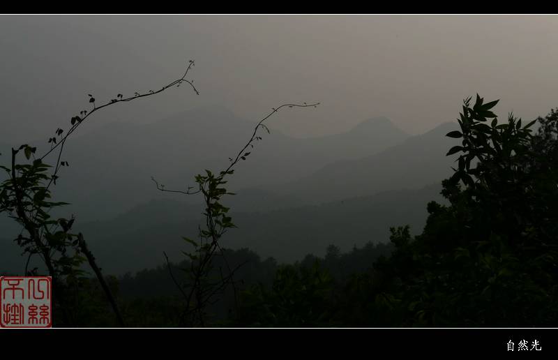 l1320762.jpg