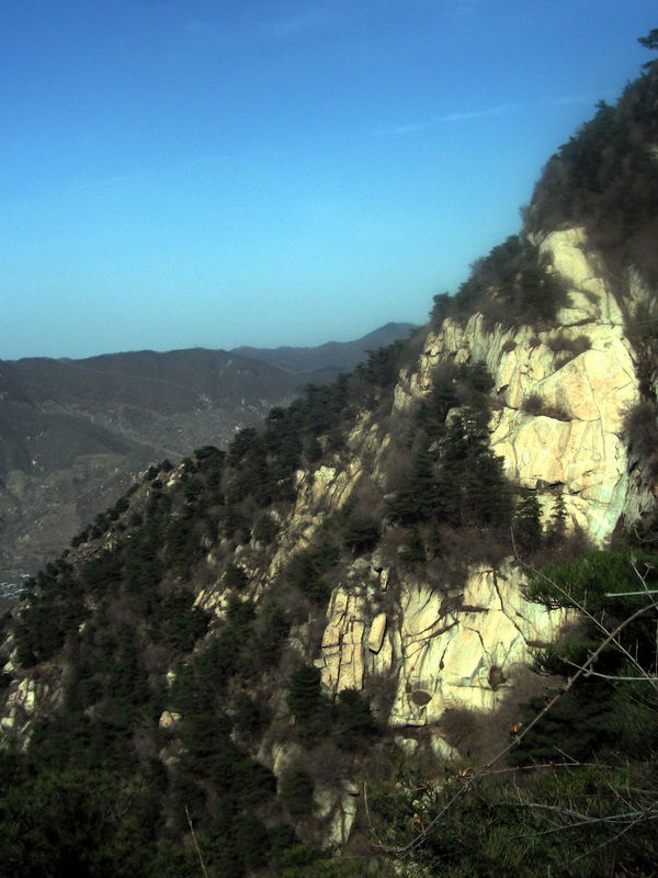 dscf0217.jpg