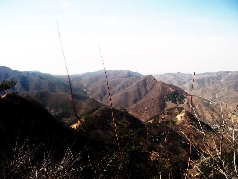 dscf0219.jpg