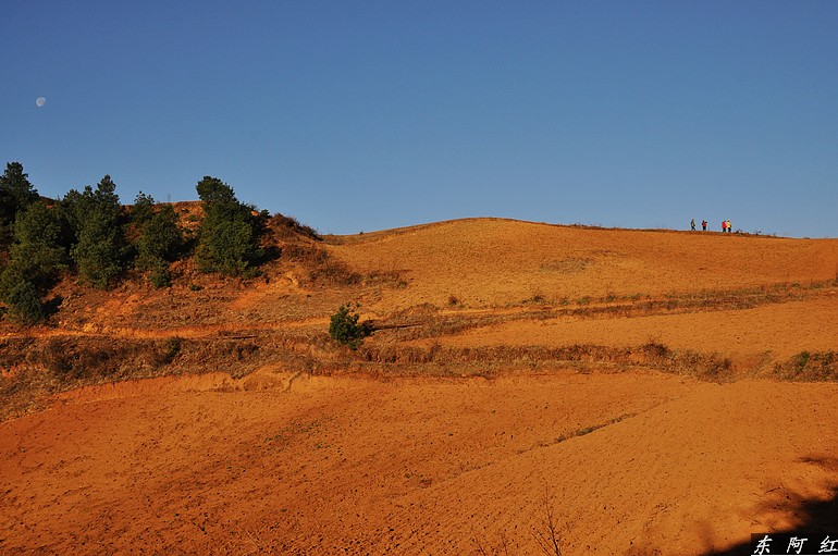 dsc_0520.jpg