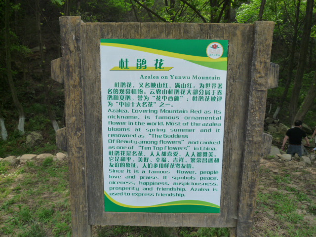 p1060563.jpg
