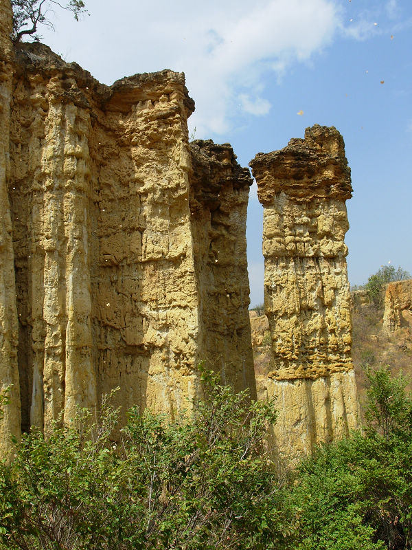 dscn0797.jpg