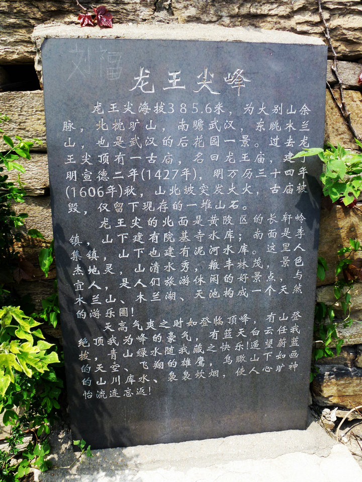 p1000879.jpg