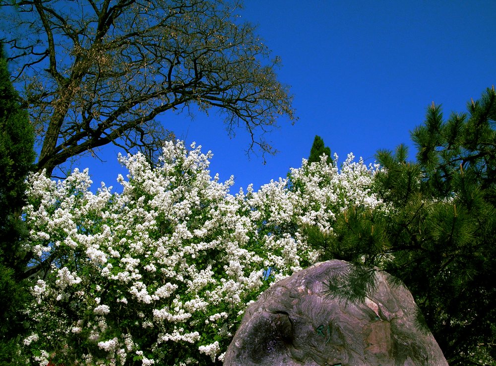 dscn507000.jpg