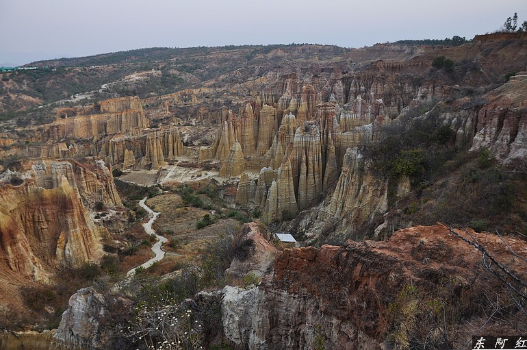dsc_0673.jpg