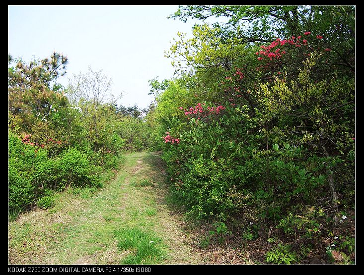 Ƭ 017.jpg