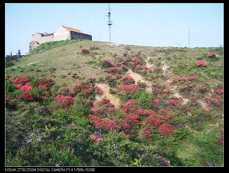 Ƭ 023.jpg