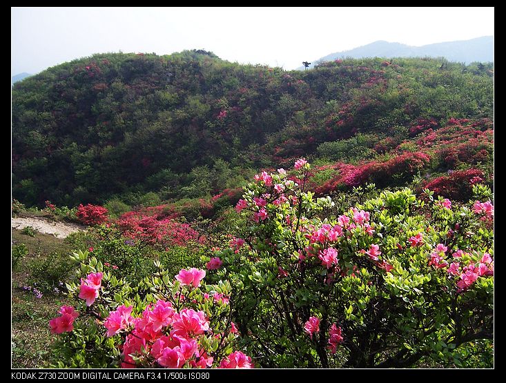 Ƭ 033.jpg