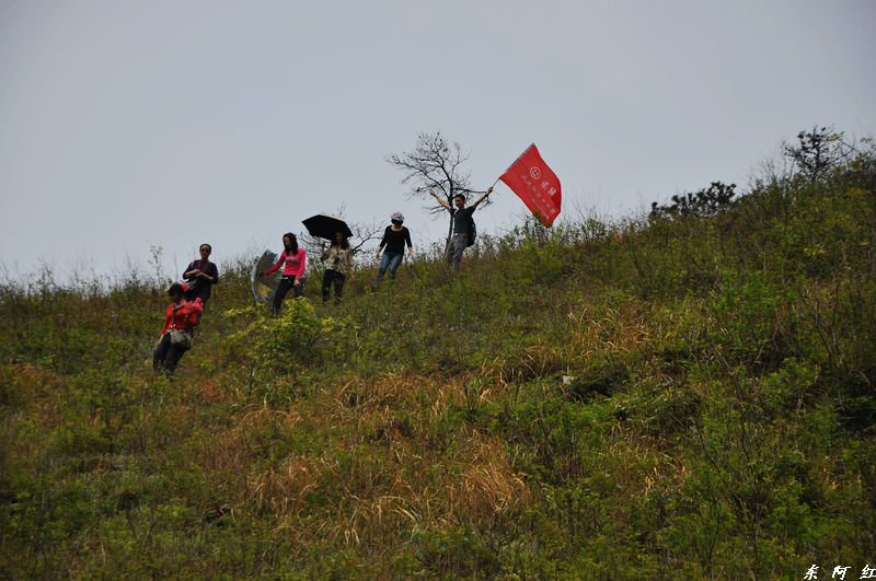 dsc_0983.jpg