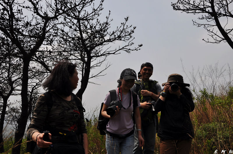 dsc_0973.jpg
