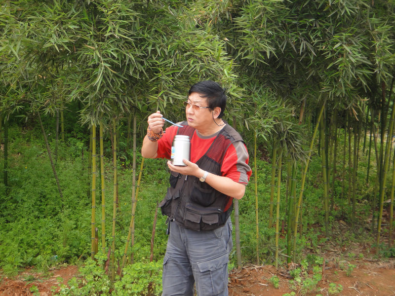 neo_img_dsc05784.jpg
