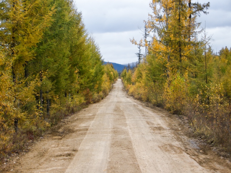 ɶ-1206-4.jpg