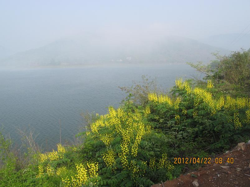 img_5387.jpg