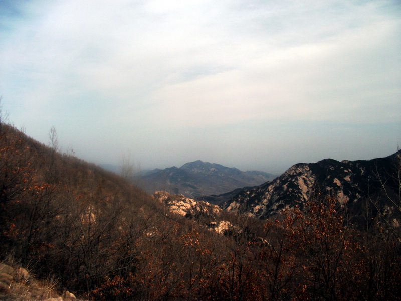 dscf0265.jpg