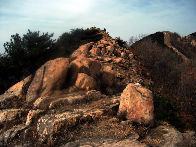 dscf0267.jpg