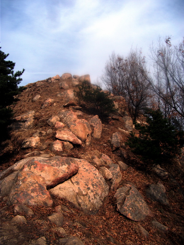 dscf0269.jpg