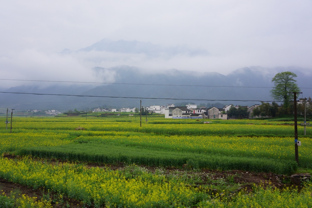 山水画廊1012.jpg