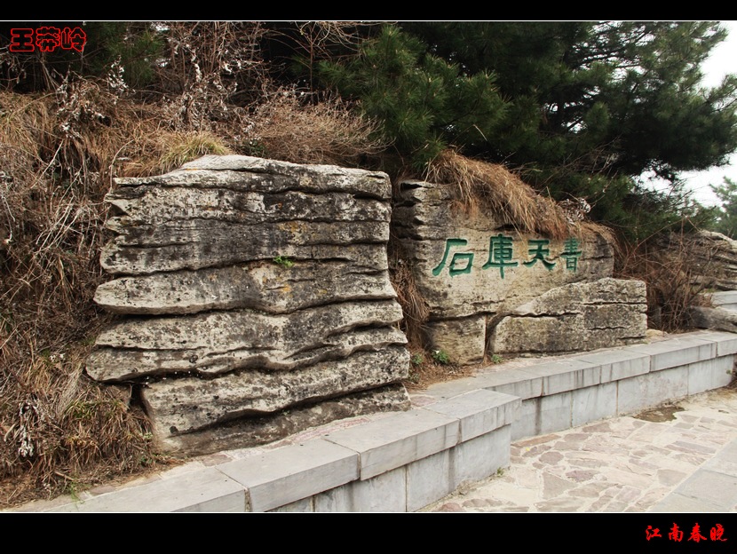 neo_img_img_3917.jpg