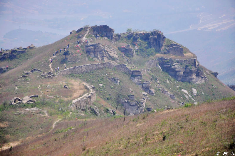 dsc_0118.jpg